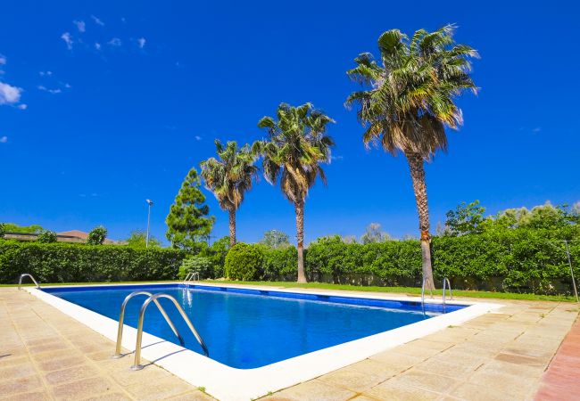 Apartamento en La Pineda - LOS RISCOS  Apartamento en La Pineda - LOS RISCOS
