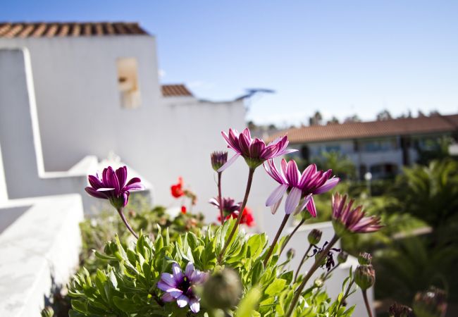 Apartamento en La Pineda - PUNTA PRIMA GRANA Apartamento en La Pineda - PUNTA PRIMA GRANA