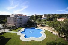 Apartamento en complejo Alto Standing La Pineda. Piscina ROMANA