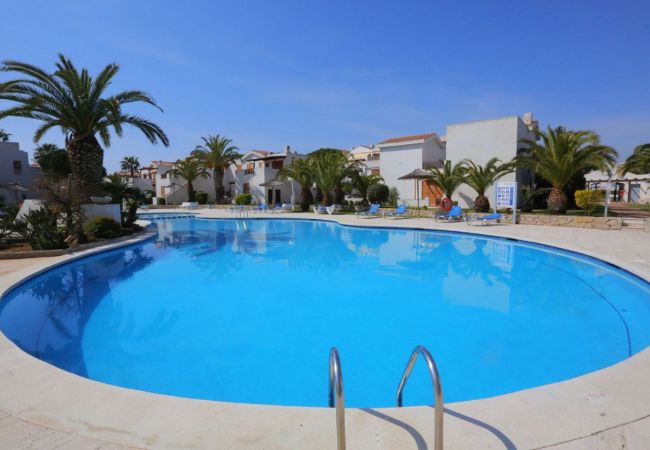 Apartamento en La Pineda - PUNTA PRIMA DUO  Apartamento en La Pineda - PUNTA PRIMA DUO