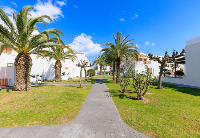 Apartamento en La Pineda - PUNTA PRIMA VILLA TINI XI  Apartamento en La Pineda - PUNTA PRIMA VILLA TINI XI
