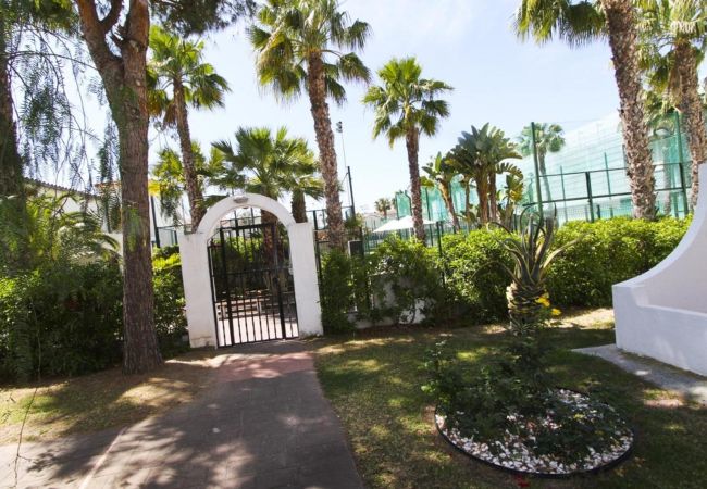Apartamento en La Pineda - PUNTA PRIMA VILLA TINI XI  Apartamento en La Pineda - PUNTA PRIMA VILLA TINI XI