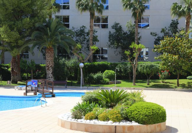 Apartamento en La Pineda - PUNTA PRIMA APARTMENT Apartamento en La Pineda - PUNTA PRIMA APARTMENT