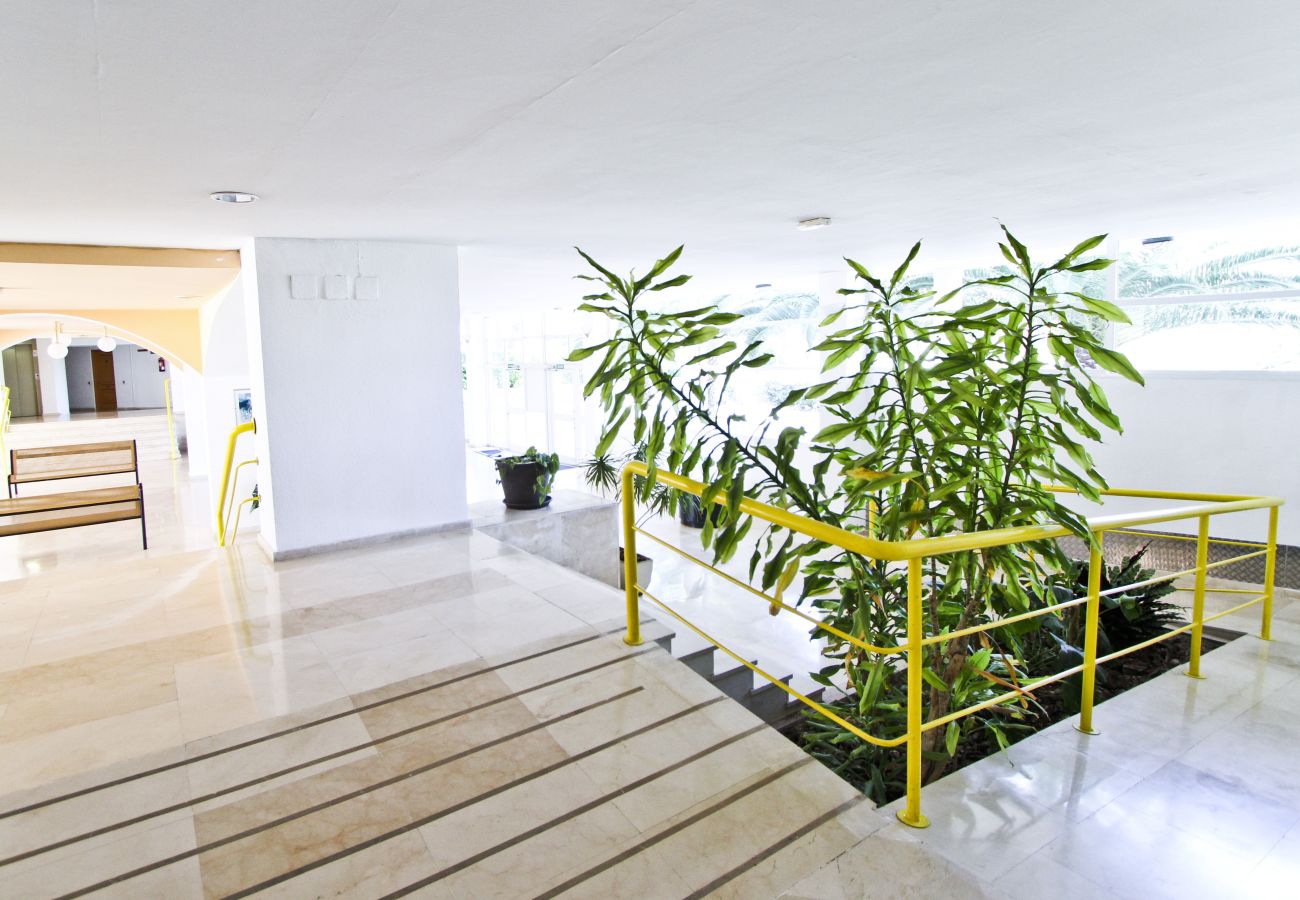 Apartamento en La Pineda - PUNTA PRIMA APARTMENT