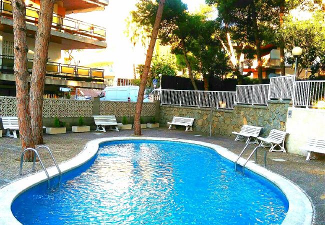 Apartment in Salou - PARADIS 2 Apartment - Llevant Beach Apartment in Salou - PARADIS 2 Apartment - Llevant Beach