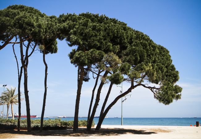 Apartment in La Pineda - TECAVI - Penthouse with Sea Views Apartment in La Pineda - TECAVI - Penthouse with Sea Views