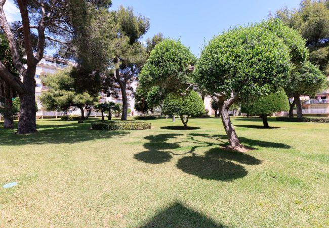 Apartment in Salou - FABRA Apartment Apartment in Salou - FABRA Apartment