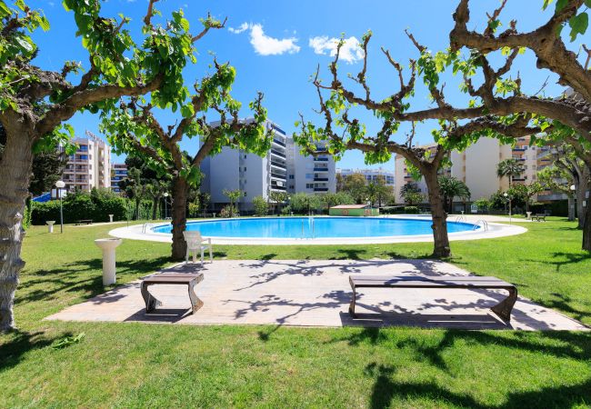 Apartment in Salou - RHIN Apartment - WOW Swimming Pools Apartment in Salou - RHIN Apartment - WOW Swimming Pools