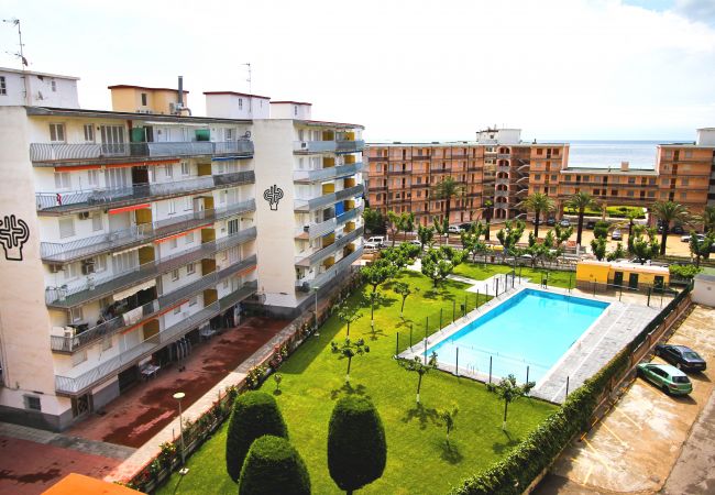Appartement à La Pineda - PINEDA 3 avec vue mer, plage à 100m Appartement à La Pineda - PINEDA 3 avec vue mer, plage à 100m