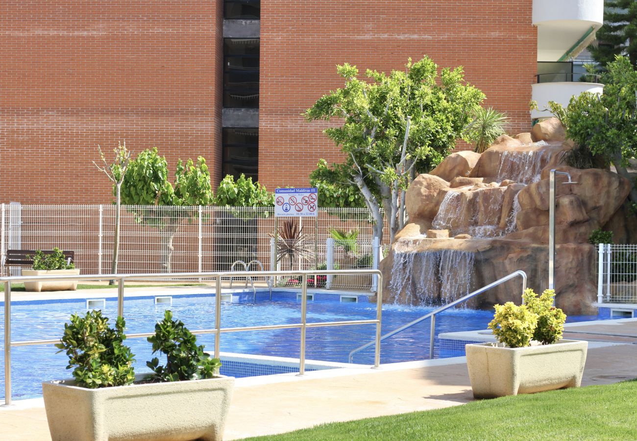 Appartement à La Pineda - MALDIVAS Apartments