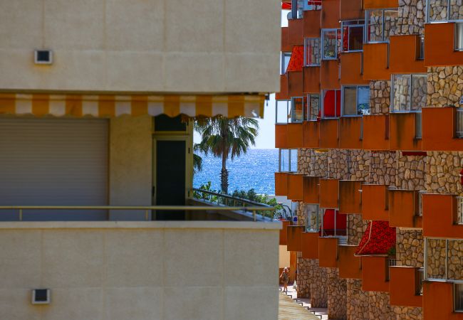 Appartement à La Pineda - DELFINES Apartment Appartement à La Pineda - DELFINES Apartment