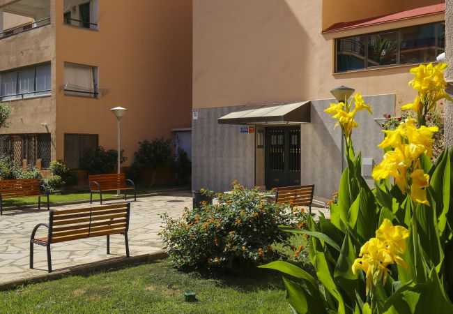 Appartement à La Pineda - DELFINES Apartment Appartement à La Pineda - DELFINES Apartment