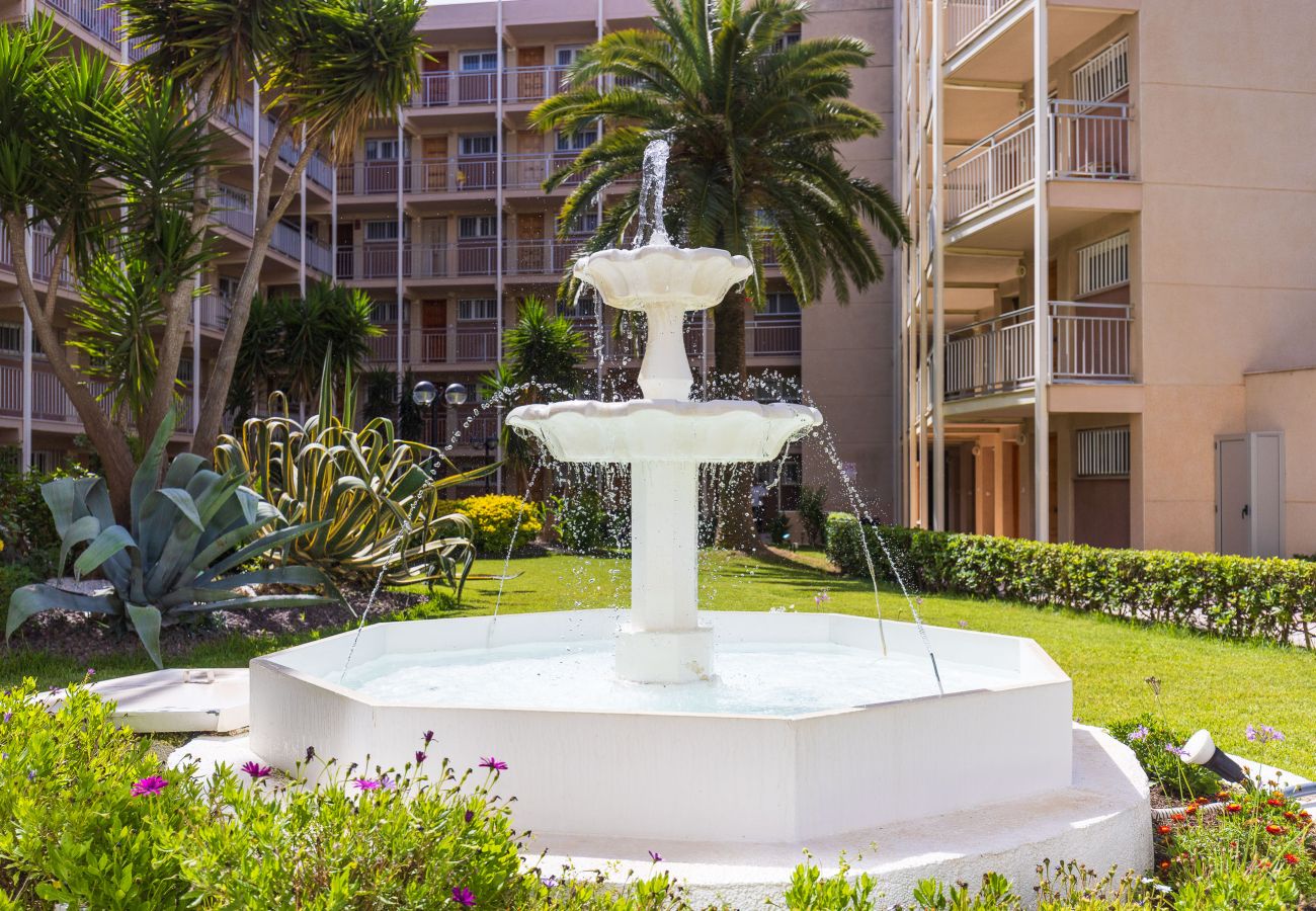 Appartement à Vila Seca - Studio Paradis Playa - Pieds dans l'eau