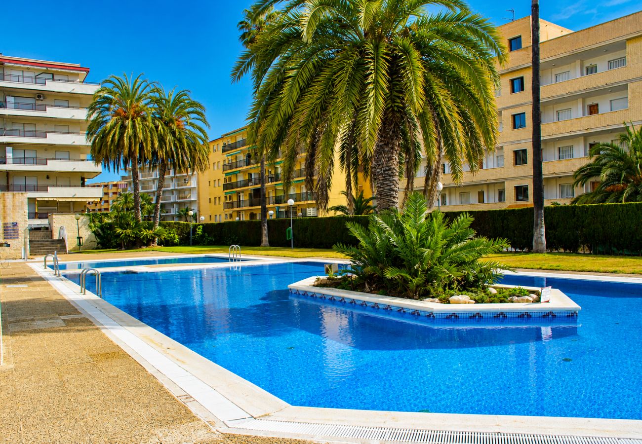 Appartement à La Pineda - Aquamarina La Pineda