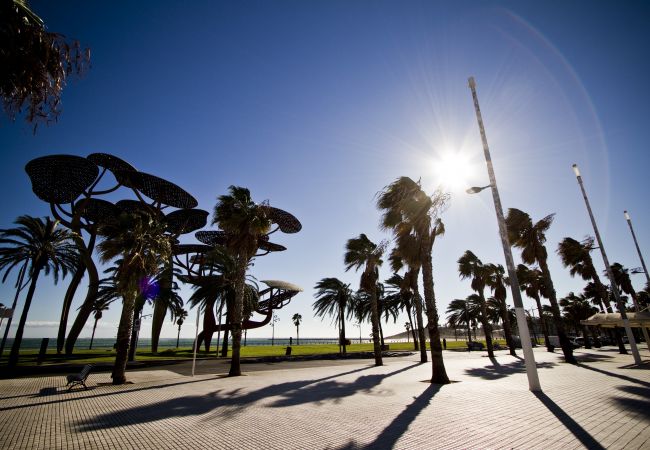 Апартаменты на La Pineda - PUNTA PRIMA BLAU Апартаменты на La Pineda - PUNTA PRIMA BLAU