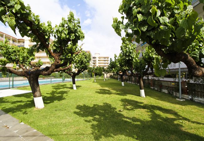 Апартаменты на La Pineda - PINEDA 3 с видом на море, пляж в 100м Апартаменты на La Pineda - PINEDA 3 с видом на море, пляж в 100м