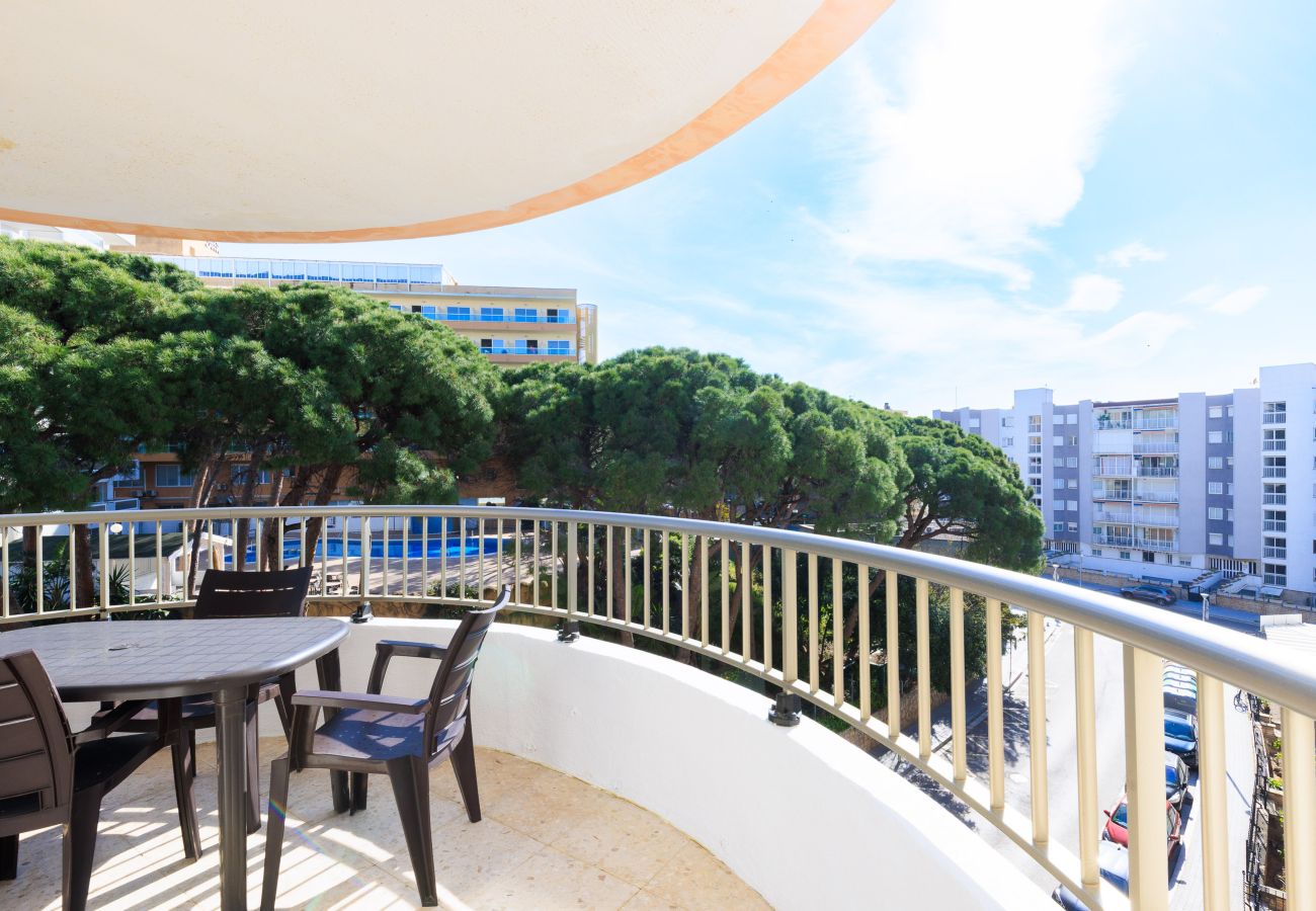 Апартаменты на Салоу - EUCALYPTUS Apartment