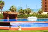 Апартаменты на La Pineda - Residencial LOS JUNCOS III Апартаменты на La Pineda - Residencial LOS JUNCOS III