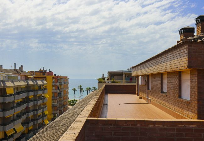Апартаменты на La Pineda - ALBENIZ Atic Апартаменты на La Pineda - ALBENIZ Atic