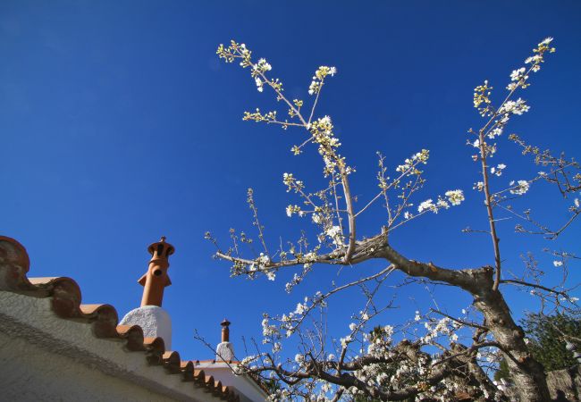 Вилла на Cambrils - Villa SANTORINI Вилла на Cambrils - Villa SANTORINI