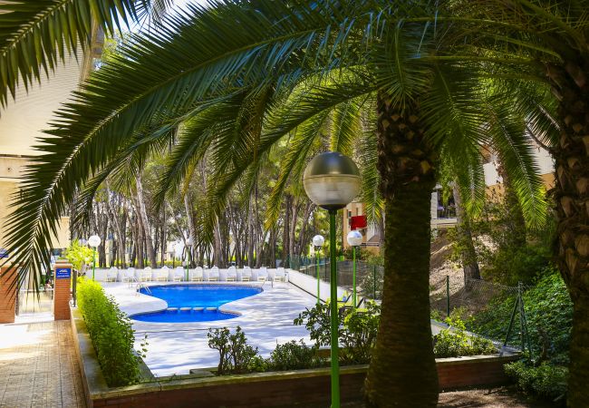 Апартаменты на Salou - UOLAS Apartment  Апартаменты на Salou - UOLAS Apartment