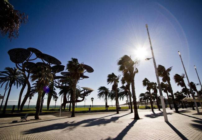 Апартаменты на La Pineda - PUNTA PRIMA VILLA TINI XI  Апартаменты на La Pineda - PUNTA PRIMA VILLA TINI XI