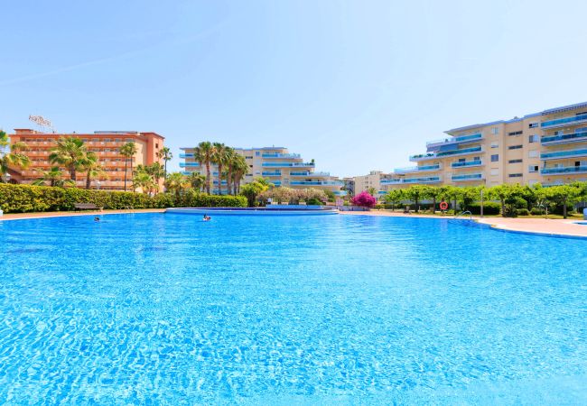 Апартаменты на La Pineda - Residencial LOS JUNCOS V   Апартаменты на La Pineda - Residencial LOS JUNCOS V
