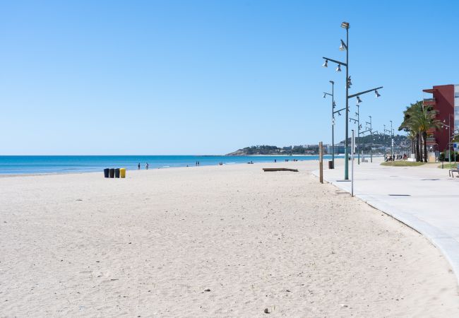 Апартаменты на La Pineda - PINEDA III  Apartments Апартаменты на La Pineda - PINEDA III  Apartments