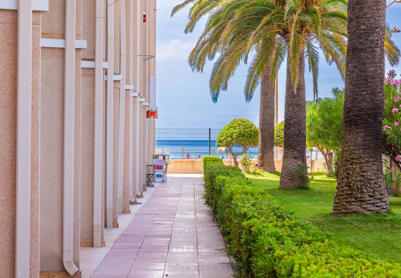 Апартаменты на Вила Сека - Paradis Playa Studio - Directly on the beach